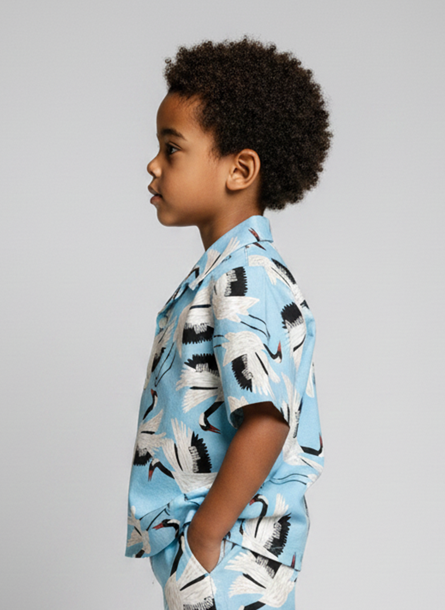 Chemise Cigognes Bleu Ciel