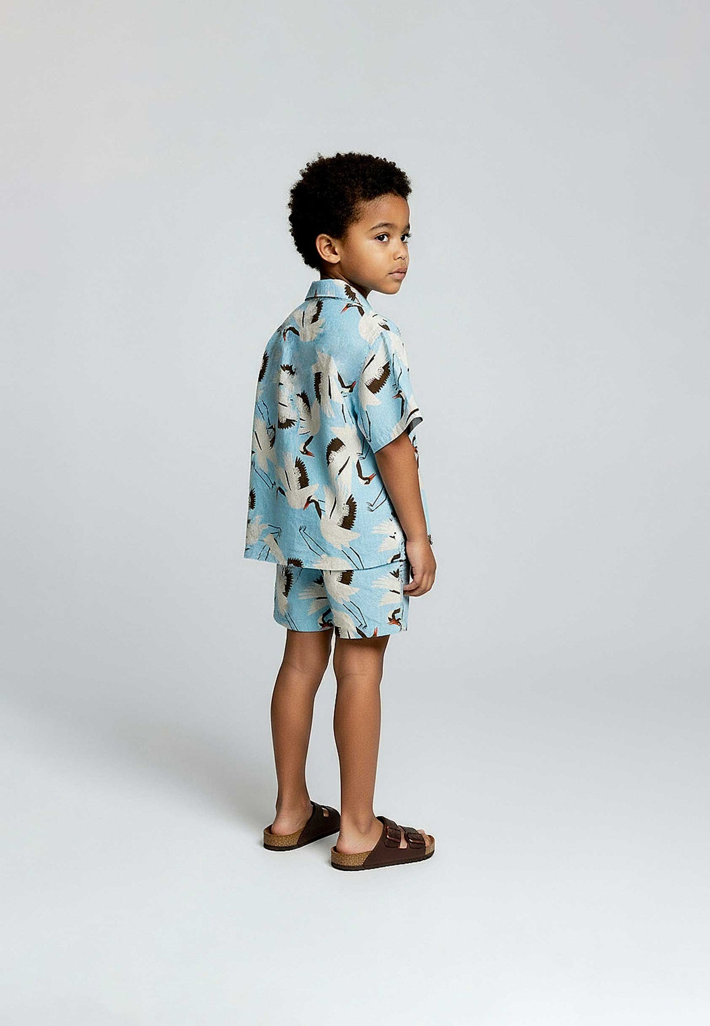 Chemise Cigognes Bleu Ciel