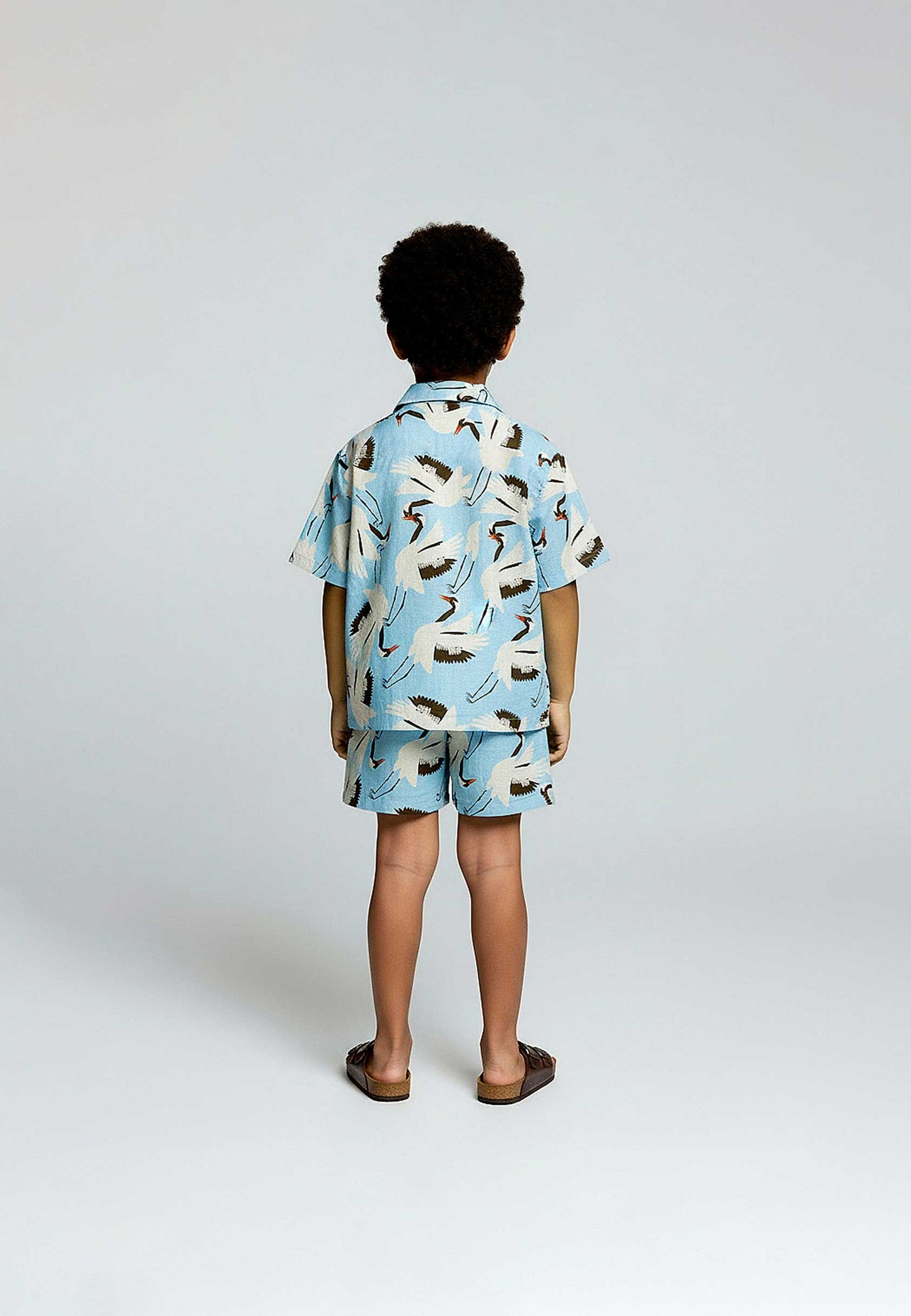 Chemise Cigognes Bleu Ciel